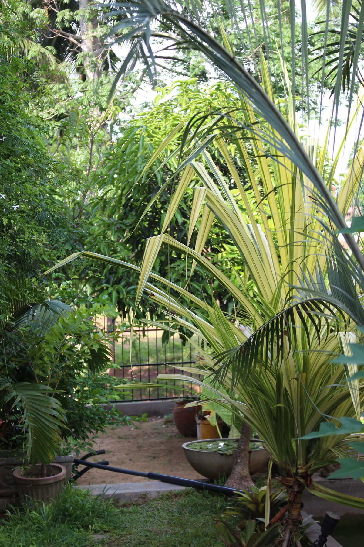Villa Kapuru Negombo Luaran gambar